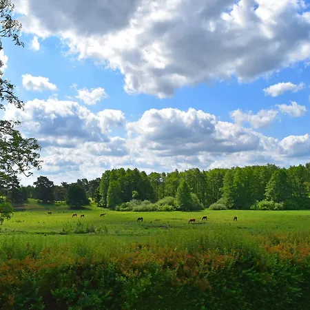 Am Garder Inselblick * Lohmen (Mecklenburg-Vorpommern)