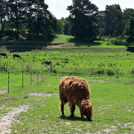 Σπίτι διακοπών Am Garder Inselblick Lohmen (Mecklenburg-Vorpommern)