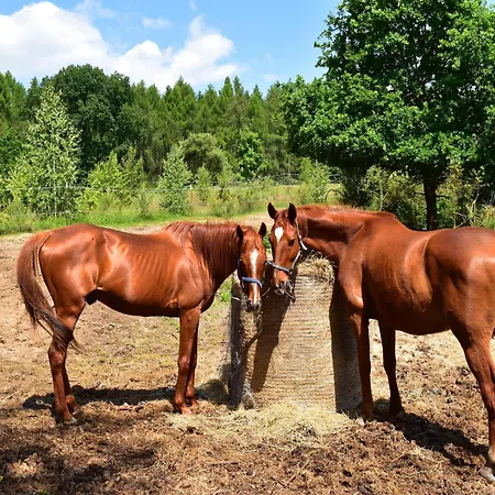 Σπίτι διακοπών Am Garder Inselblick
