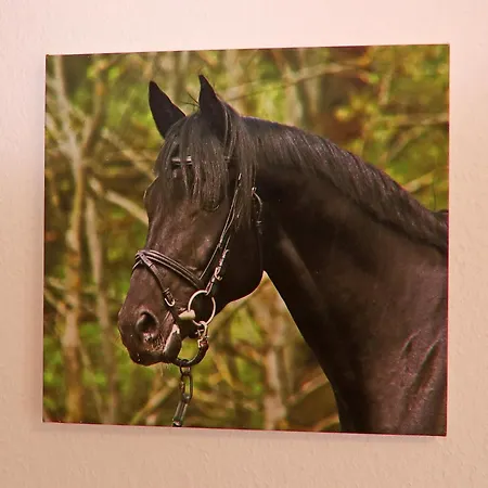 Am Garder Inselblick Σπίτι διακοπών Lohmen (Mecklenburg-Vorpommern)