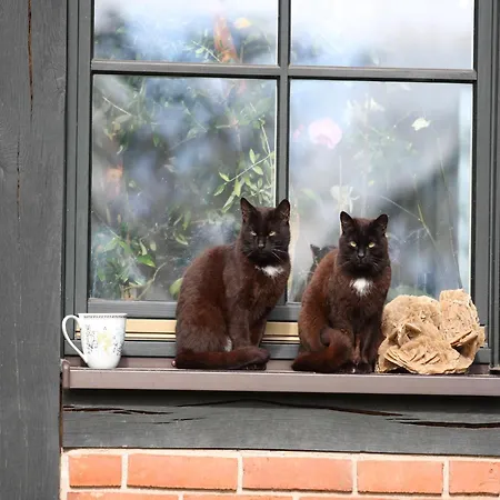 Am Garder Inselblick *