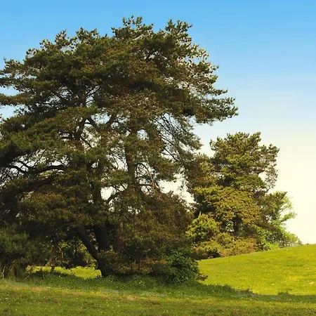 Am Garder Inselblick Hébergement de vacances
