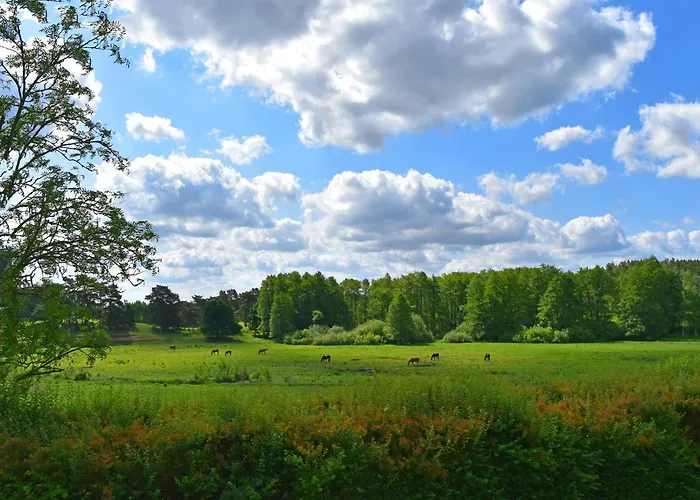 Am Garder Inselblick * Lohmen (Mecklenburg-Vorpommern)