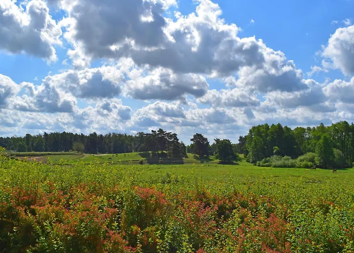 Am Garder Inselblick * Lohmen (Mecklenburg-Vorpommern)