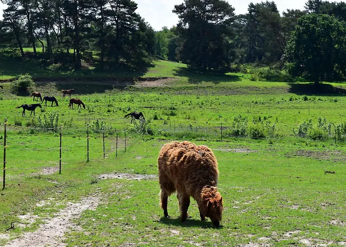 بيت للعطل Am Garder Inselblick Lohmen (Mecklenburg-Vorpommern)