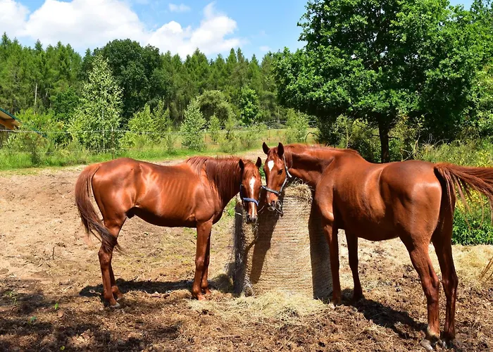 بيت للعطل Am Garder Inselblick