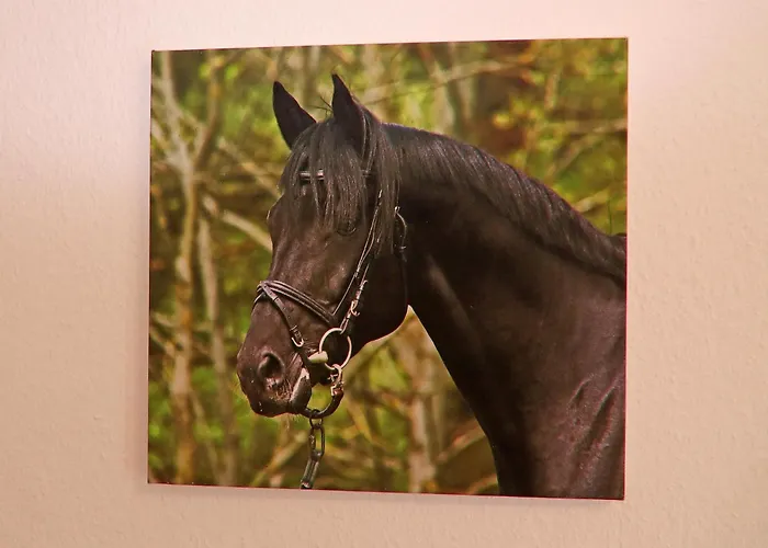 Am Garder Inselblick بيت للعطل Lohmen (Mecklenburg-Vorpommern)