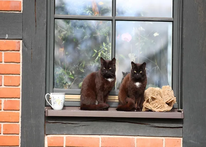 Am Garder Inselblick *