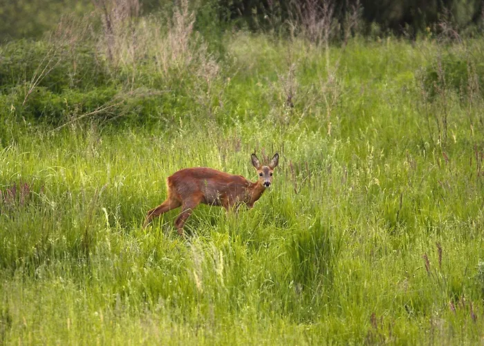 Am Garder Inselblick بيت للعطل
