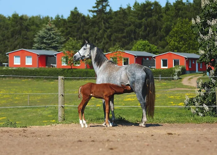 بيت للعطل Am Garder Inselblick *