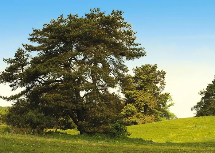 Am Garder Inselblick بيت للعطل